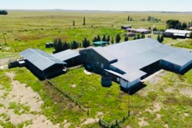 5 Bedroom Property for Sale in Dewetsdorp Rural Free State